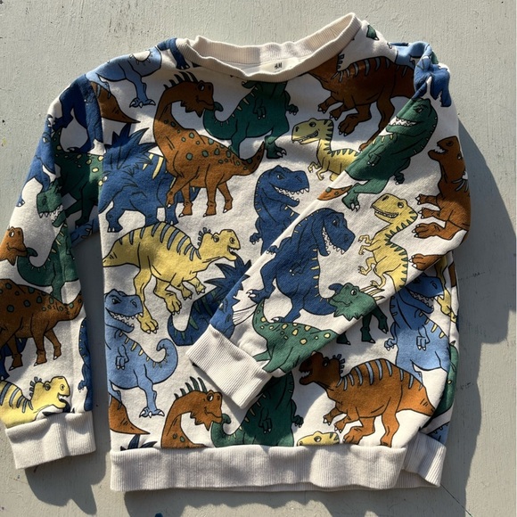 Kid's H&M Sweatshirt Multicolor Dinosaur Print 6X/7 Boy's Prehistoric Colorblock - Picture 5 of 12